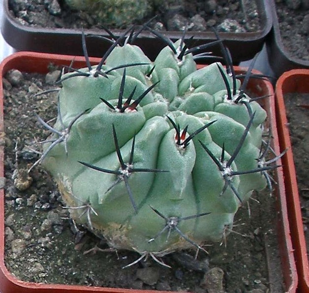 P9233842k.jpg