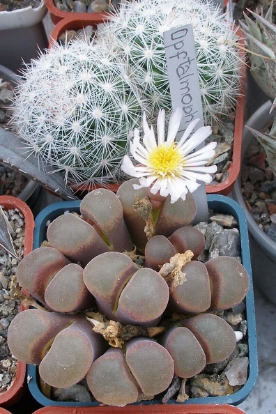 P9233851.JPG