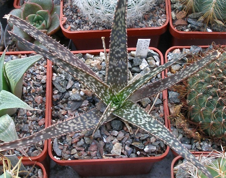 P9233860.JPG