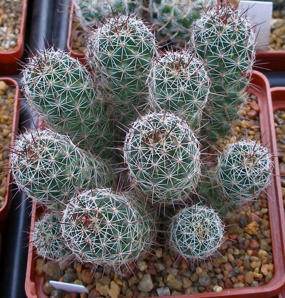 P9233891.JPG