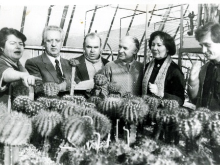 cacti 13 (2493 відвідувань) cacti 13