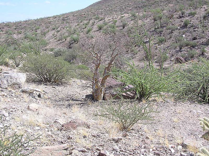 Baja--060.jpg