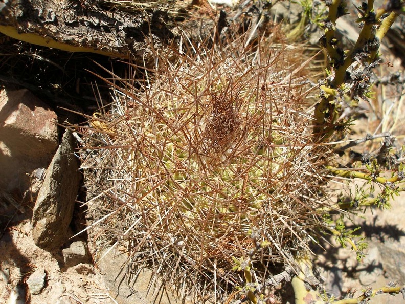 P1015902.JPG