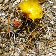P1015966