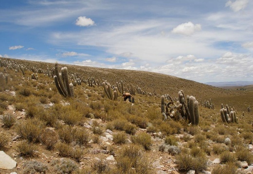 P1016083