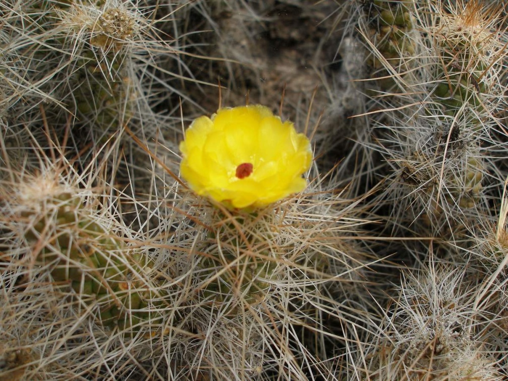 P1016299