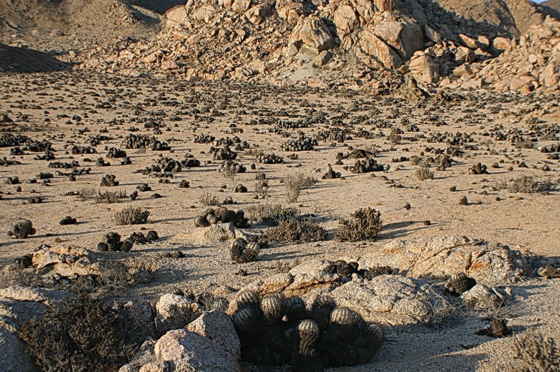 227.JPG