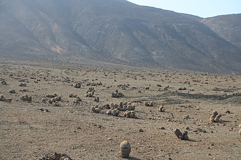 267.JPG