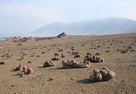 Чили, Аргентина