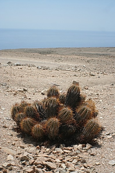 293.JPG