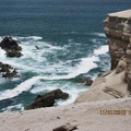 IMG_1485.JPG