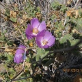 IMG_1851.JPG