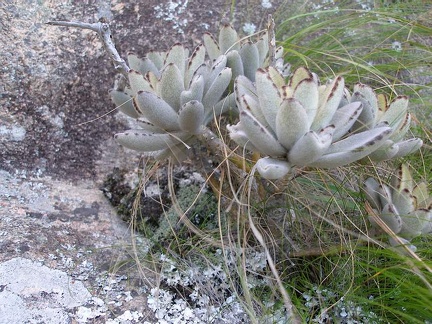 Поездка Сергея Червинко на Мадагаскар зимой 2009