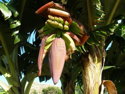 Поездка Сергея Червинко на Мадагаскар зимой 2009