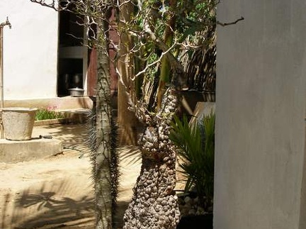 Поездка Сергея Червинко на Мадагаскар зимой 2009