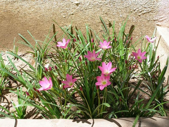 Поездка Сергея Червинко на Мадагаскар зимой 2009