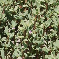 001_image.jpg