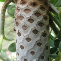 ten_IMG_4300.jpg