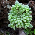 ten_IMG_4428.jpg