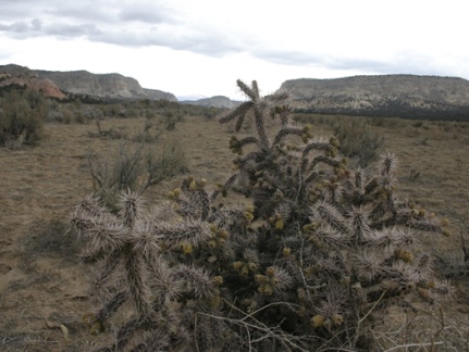 Поездка Олега Ковтуна (Украина) и Сергея Демо (США) в ноябре 2009
