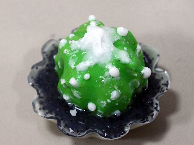 Мыло ручной работы в виде Astrophytum asterias (2628 відвідувань) Работа и фото Литинской Марты (Киев) Мыло ручной работы в виде Astrophytum asterias