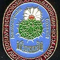 Значок ВОКЛК (1961 відвідувань) Значок Всесоюзного объединения клубов любителей какт�... Значок ВОКЛК