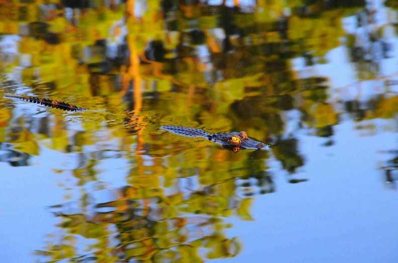 DSC_0274.jpg