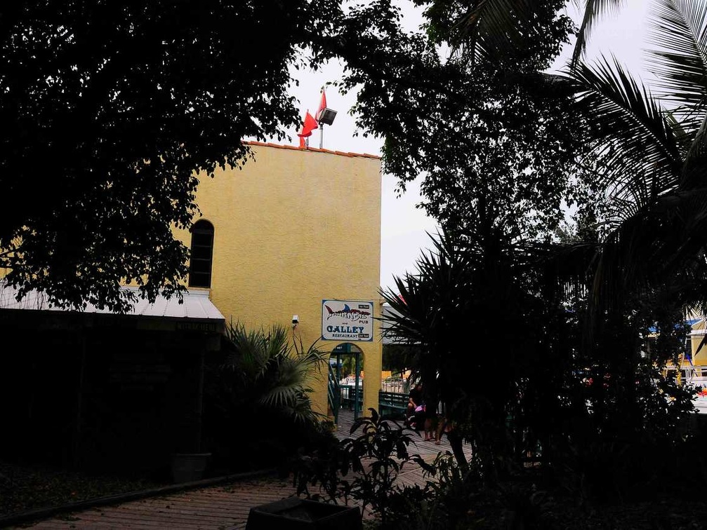 JPG 9022 (2079 відвідувань) JPG 9022