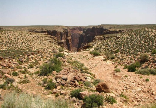 Аризона (США), 2009