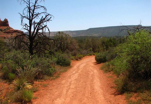 Аризона (США), 2009