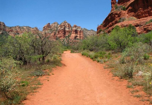 Аризона (США), 2009