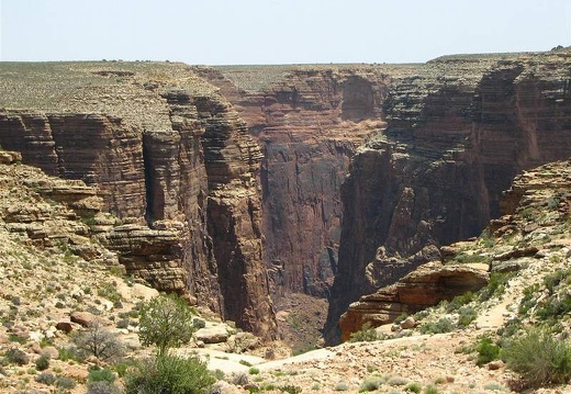 Аризона (США), 2009