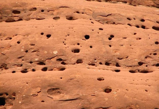 Аризона (США), 2009