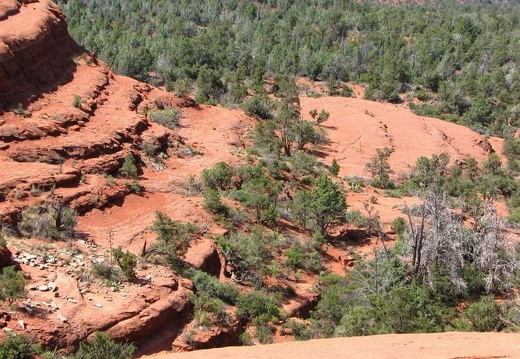 Аризона (США), 2009