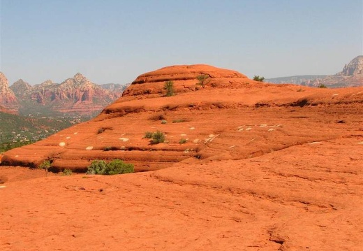 Аризона (США), 2009