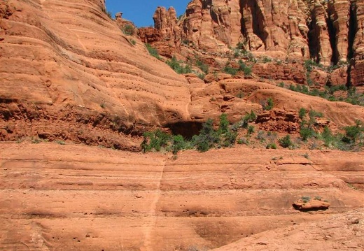 Аризона (США), 2009