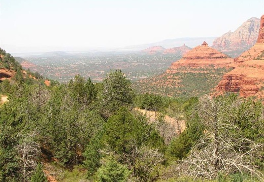 Аризона (США), 2009