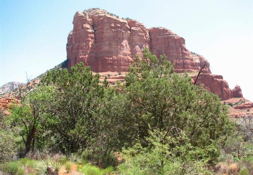 Аризона (США), 2009