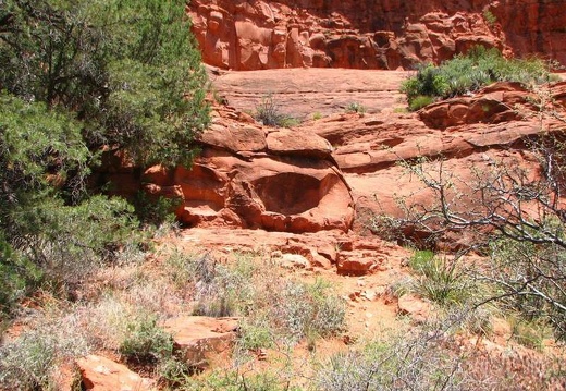 Аризона (США), 2009