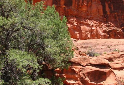 Аризона (США), 2009