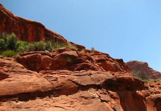 Аризона (США), 2009