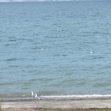 Поездка Анны Емельяновой на Байкал, август 2008