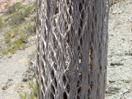 Поездка Сергея Червинко в Боливию и Аргентину (декабрь 2011)