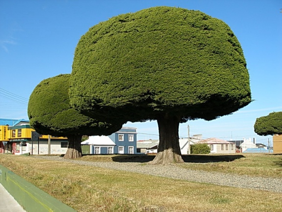 Поездка Сергея Червинко  в Чили, Аргентину зимой 2007