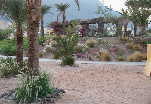 Поездка в Египет Татьяны и Андрея Арсентьевых (Киев)