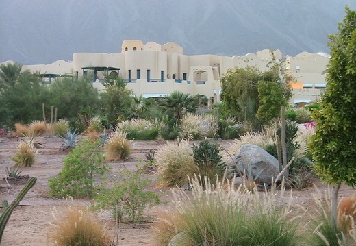 Поездка в Египет Татьяны и Андрея Арсентьевых (Киев)