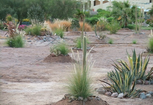 Поездка в Египет Татьяны и Андрея Арсентьевых (Киев)