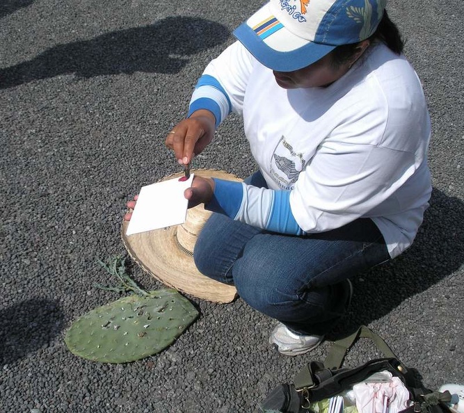 Mexica_45.JPG