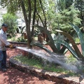 Поездка Оксаны Руденко в Мексику, июнь 2010