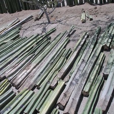 Поездка Оксаны Руденко в Мексику, июнь 2010